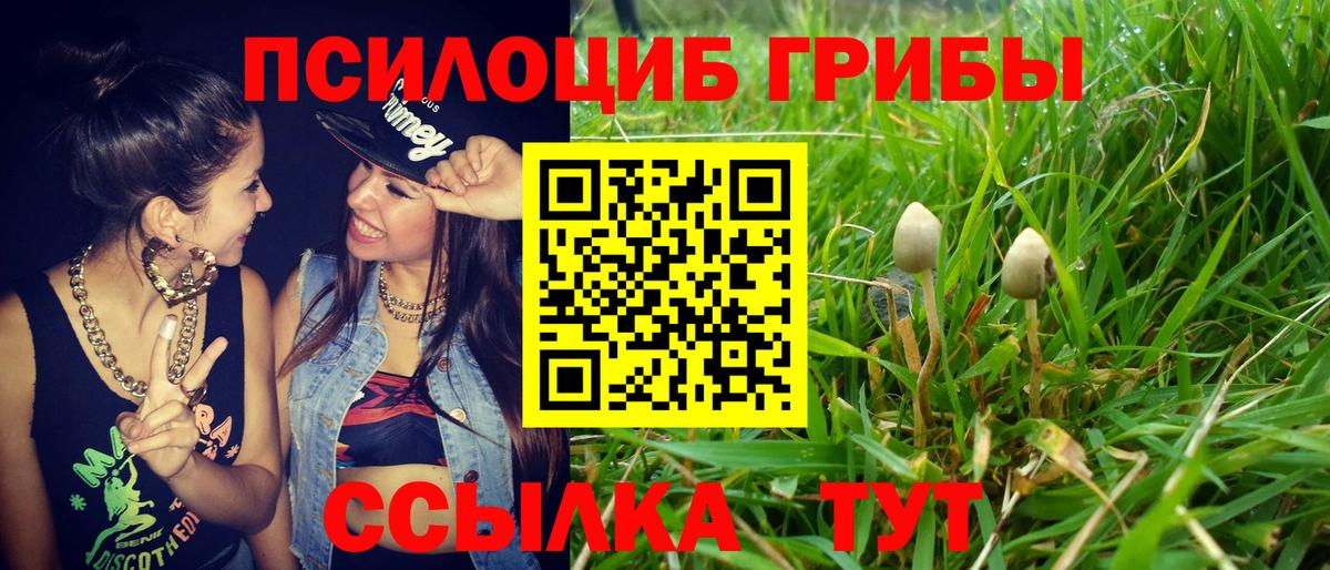 Златоуст  Галлюциногенные грибы Cubensis  Вход с VPN 
